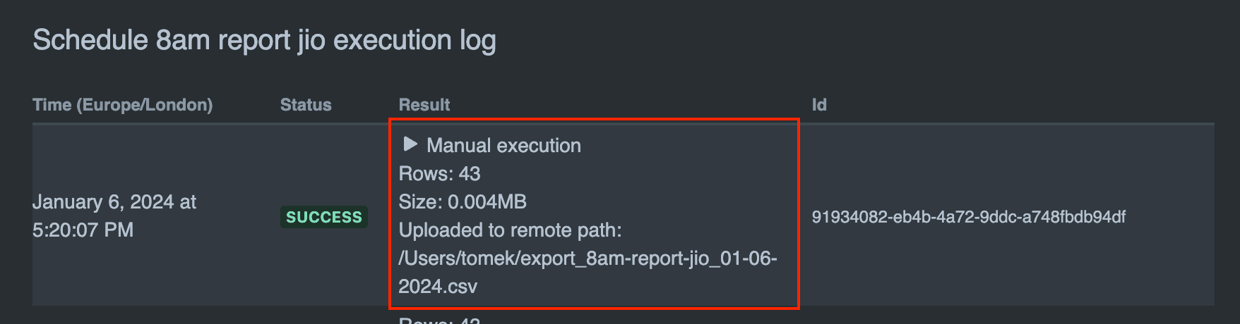 Example of manual report execution in the execution log